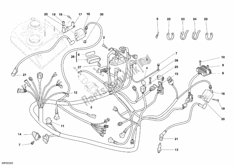 Alle onderdelen voor de Kabelboom van de Ducati Monster S2R 800 2005